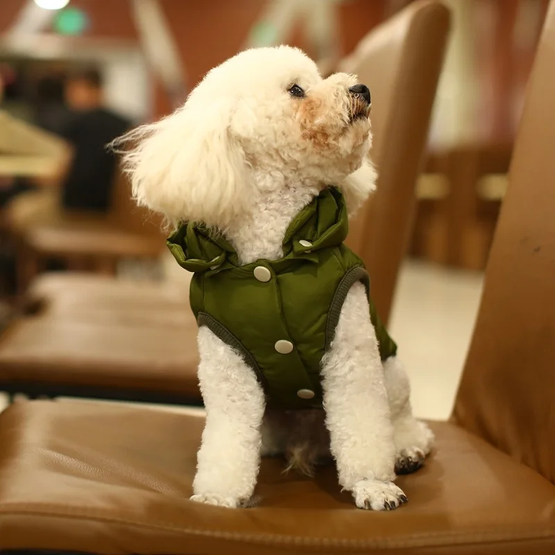 Chaqueta invierno algodón para perros pequeños - imagen 3