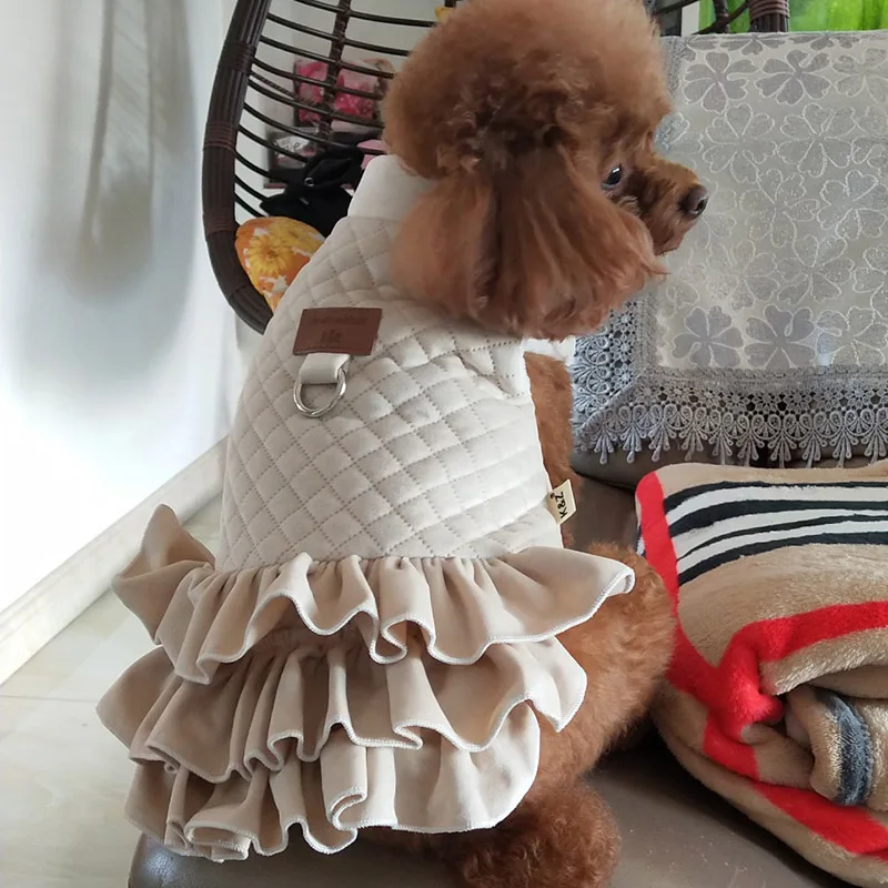 O1CN012KuB2m1KYL97jMR_!!0-rate