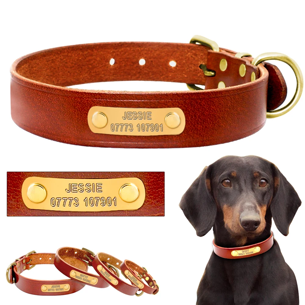 Collar identificación perros PET ARTIST - Vista principal cuero marrón