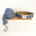 Dog Collar Leash Set