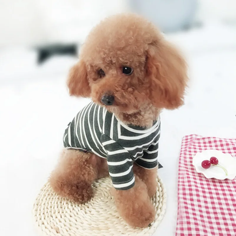 Ropa para perros, camiseta de verano a rayas, sección delgada para mayor comodidad, oso de peluche, ropa para perros pequeños, elegante y Linda - imagen 2
