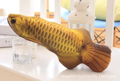 Arowana