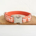 Dog Collar