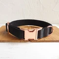 Dog Collar