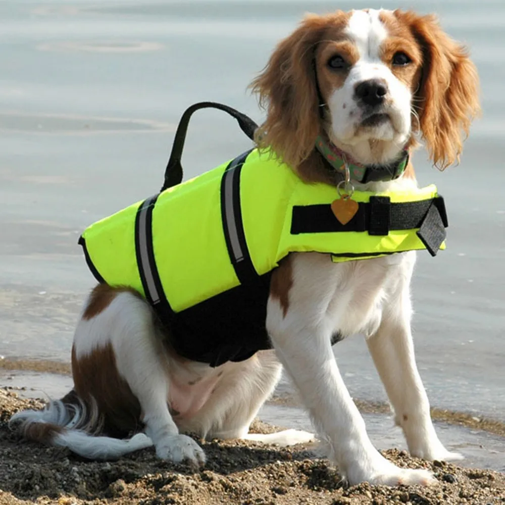 Chaleco Salvavidas con estampado de verano para mascotas, ropa de seguridad para perros, traje de baño para mascotas, Chaleco Salvavidas - imagen 2