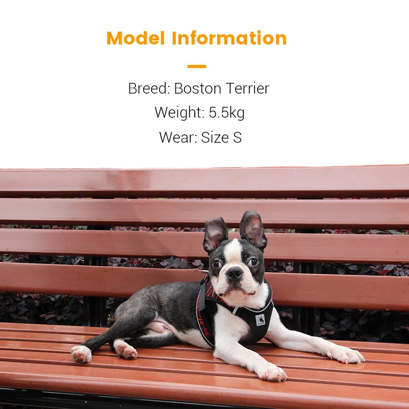 Arnés reflectante sin tirones para perro, chaleco acolchado transpirable para perros pequeños y medianos, Bulldog y Chihuahua - imagen 5
