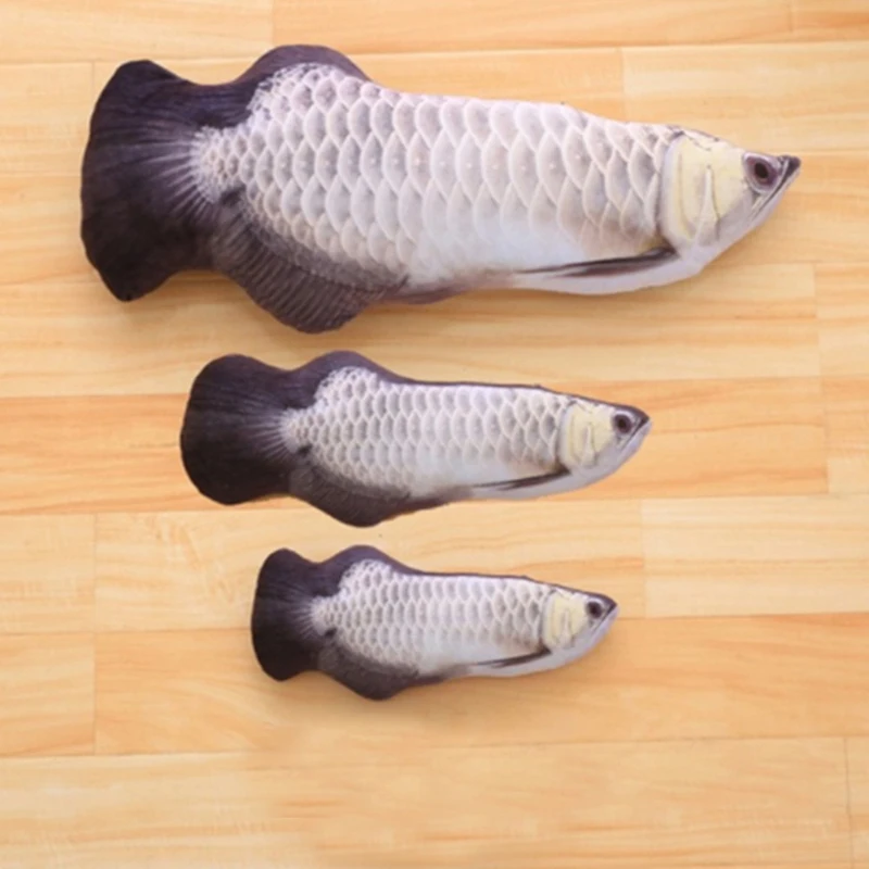 Sphynx gatos - Vista lateral diseño completo