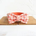 Dog Collar Bow Tie