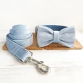 Bow Tie Collar Leash