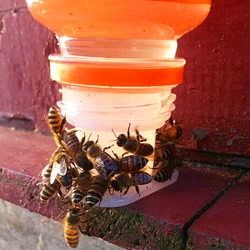 Alimentador de agua para colmenas abejas