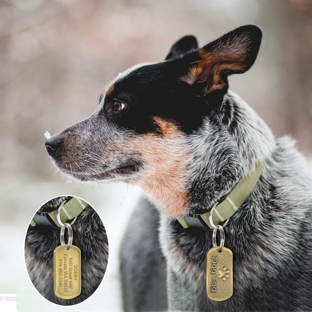 Placa de identificación personalizada para perros medianos y grandes, placa de identificación personalizada de acero inoxidable, a la moda, con estampado de pata, antipérdida - imagen 5
