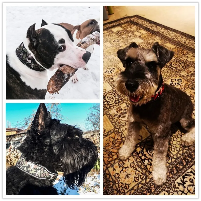 Benepaw-Collar de camuflaje reflectante impermeable para perros pequeños, medianos y grandes, Collar acolchado suave y transpirable para mascotas, suministros de plomo - imagen 2