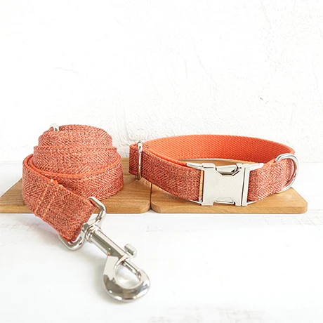 Dog Collar Leash Set