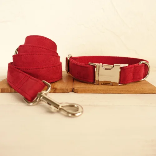 Dog Collar Leash Set