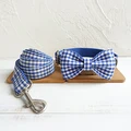 Bow Tie Collar Leash