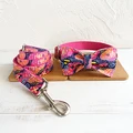 Bow Tie Collar Leash