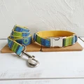 Dog Collar Leash Set