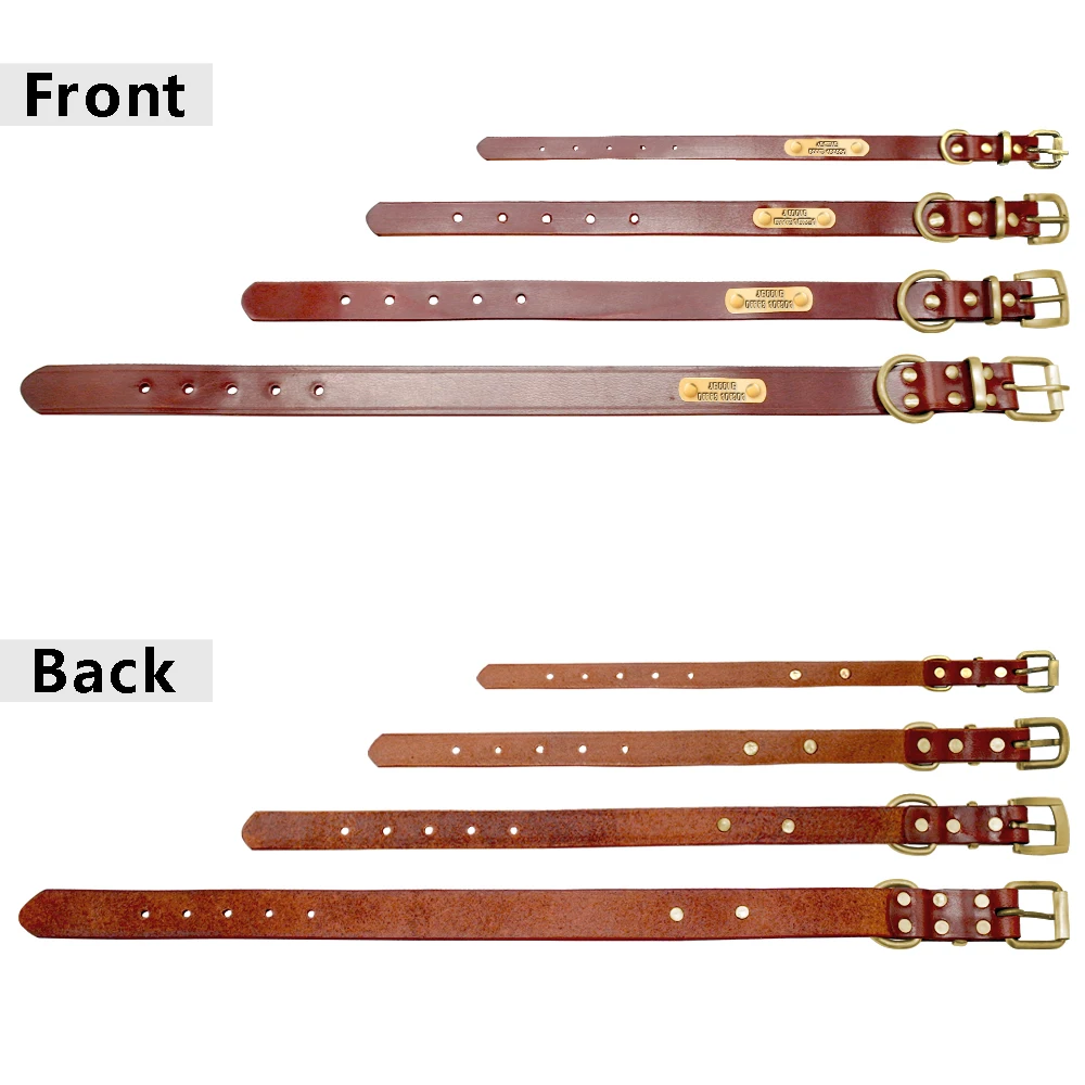 Collar Identificación Perros Personalizado PET ARTIST - imagen 3