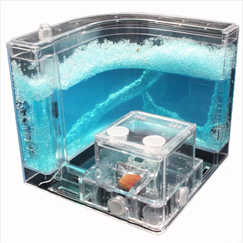 Casa de hormigas acrílicas para niños, Terrario de insectos coloridos, caja de insectos, guardería, juguete ecológico, modelo educativo - imagen 2
