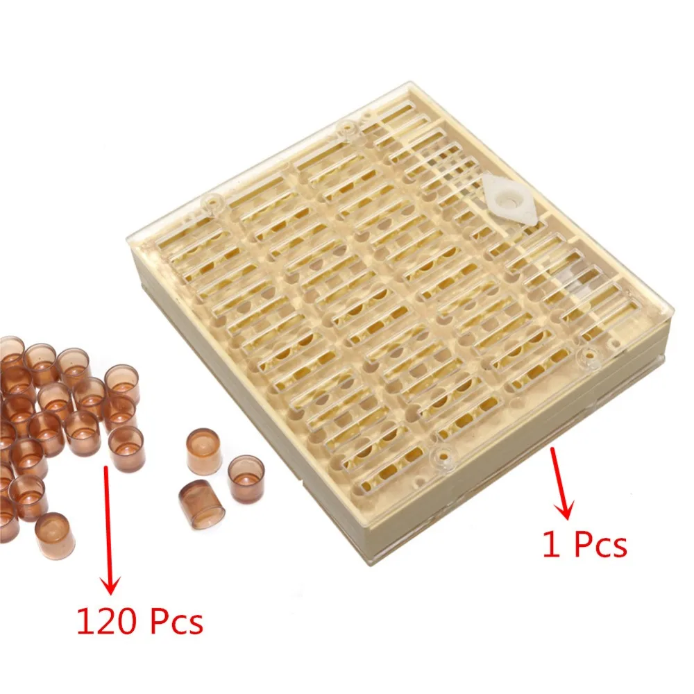 Equipo de apicultura, herramientas para cría de abejas reinas, huevos, jaula de caja de plástico para apicultor profesional, suministros de apicultura - imagen 3