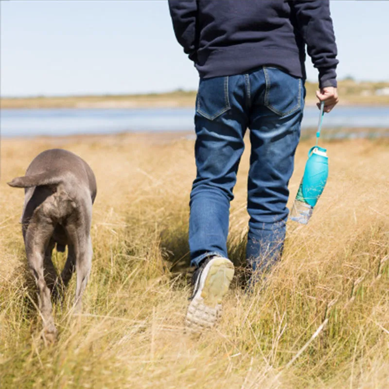 Nuevo Alimentador de agua portátil para mascotas, cuenco plegable para llevar en el coche, hervidor de agua para perros y gatos, contenedor de botella de agua para viajes al aire libre - imagen 3