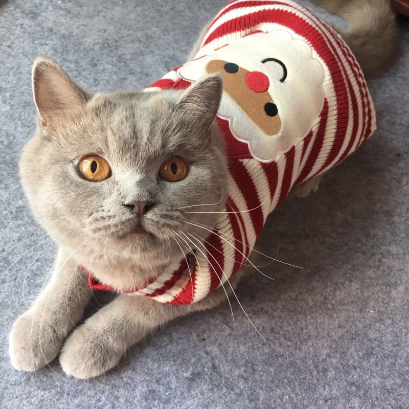 Suéter navideño de 8 colores para gatos, ropa de Halloween para perros pequeños, jersey de gatito Kedi, ropa de Papá Noel, trajes XXS - imagen 3