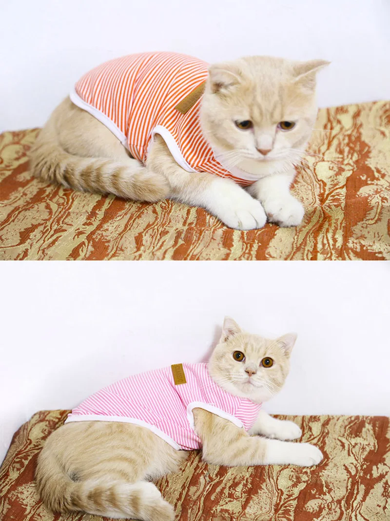 Chaleco para gatos mostrado junto a una cinta métrica