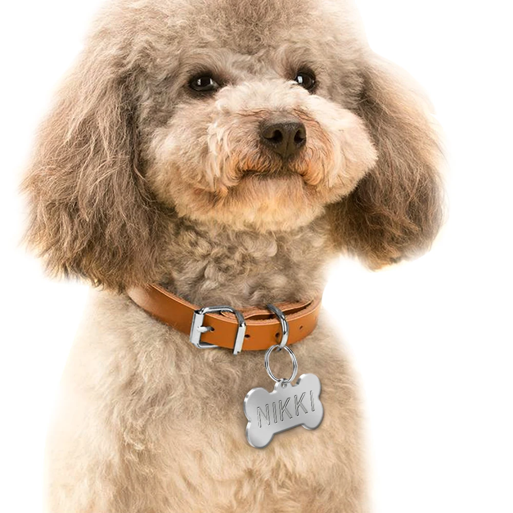 Etiqueta de identificación personalizada para perro, accesorio de acero inoxidable, antipérdida, con silbato de Entrenamiento gratis - imagen 2