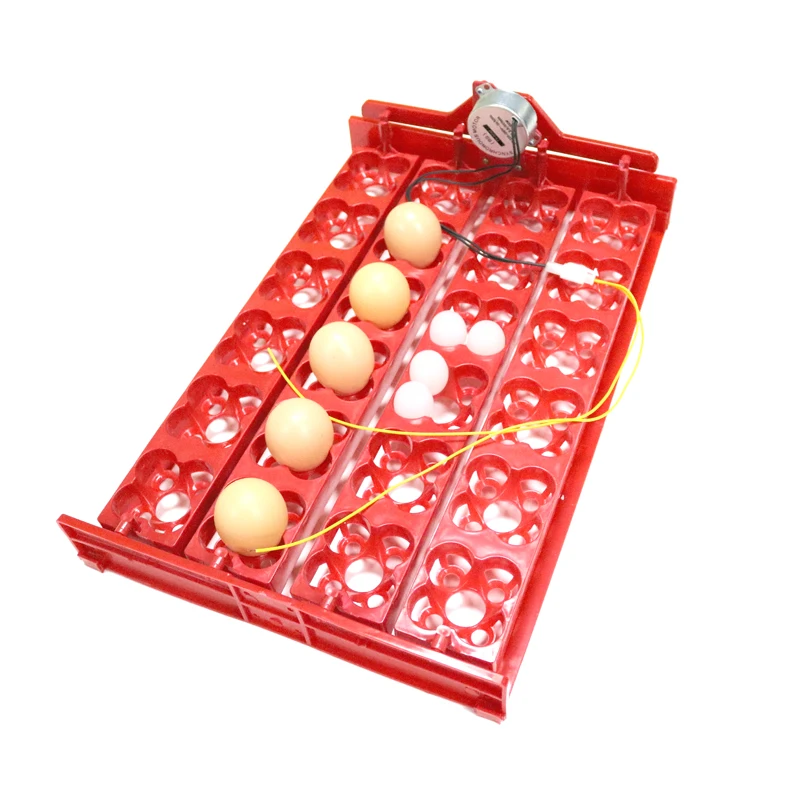 Bandeja para incubar 24 huevos/96 huevos de codorniz, Motor de 220V / 110V / 12V, equipo para incubar aves y pollos, accesorios para incubadora DIY, 1 Juego - imagen 3