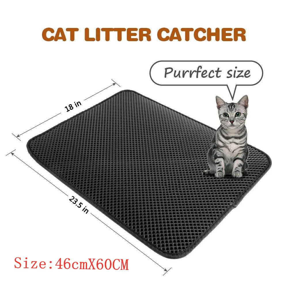 9132044748_120272527