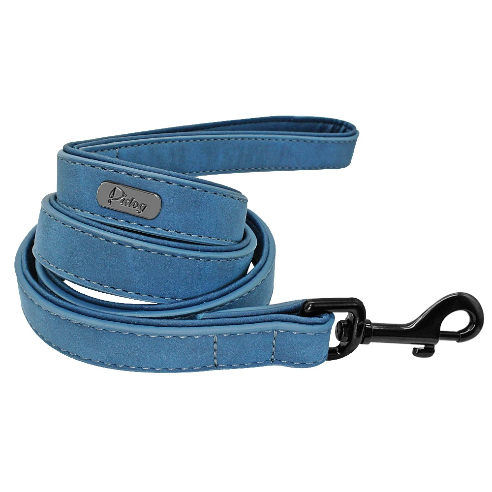 blue leash