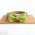 Dog Collar Bow Tie