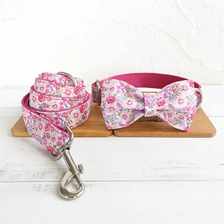 Bow Tie Collar Leash