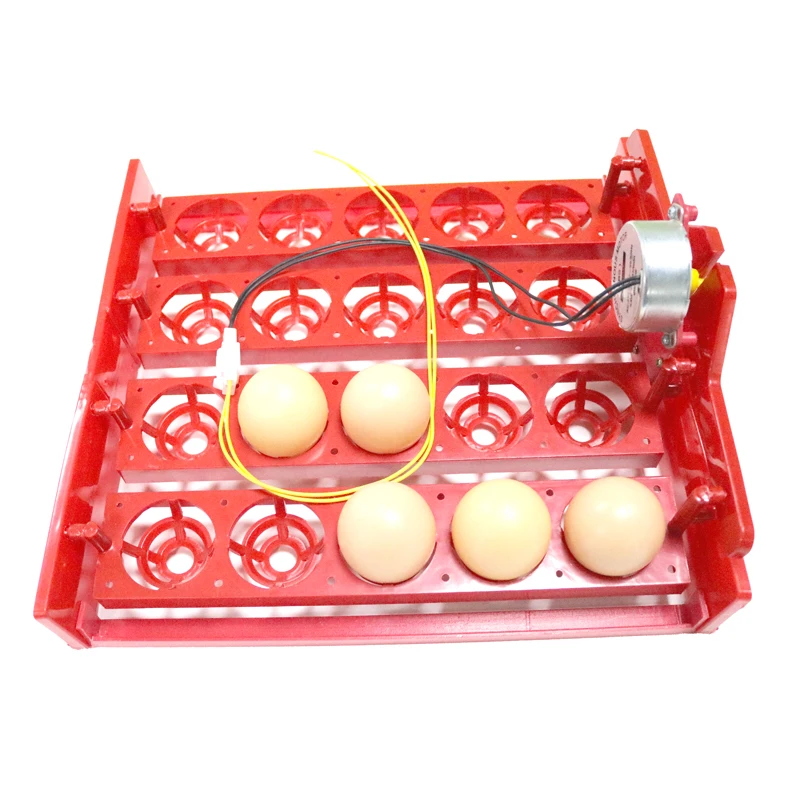 Incubadora de 20 huevos, bandeja giratoria para huevos, Motor de 220V/110V/12V, huevos de gallina, incubadora automática, accesorios, equipo, 1 Juego - imagen 5