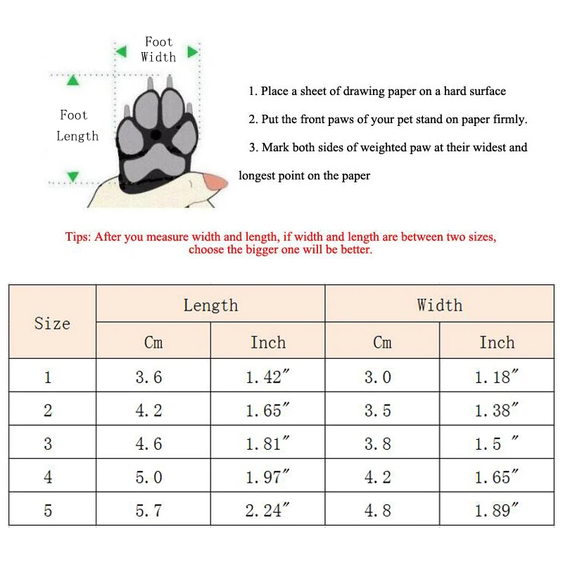 Zapatos en uso con mascota - demostración