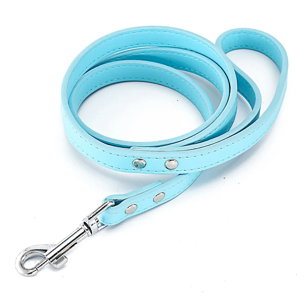 Blue Dog Leash