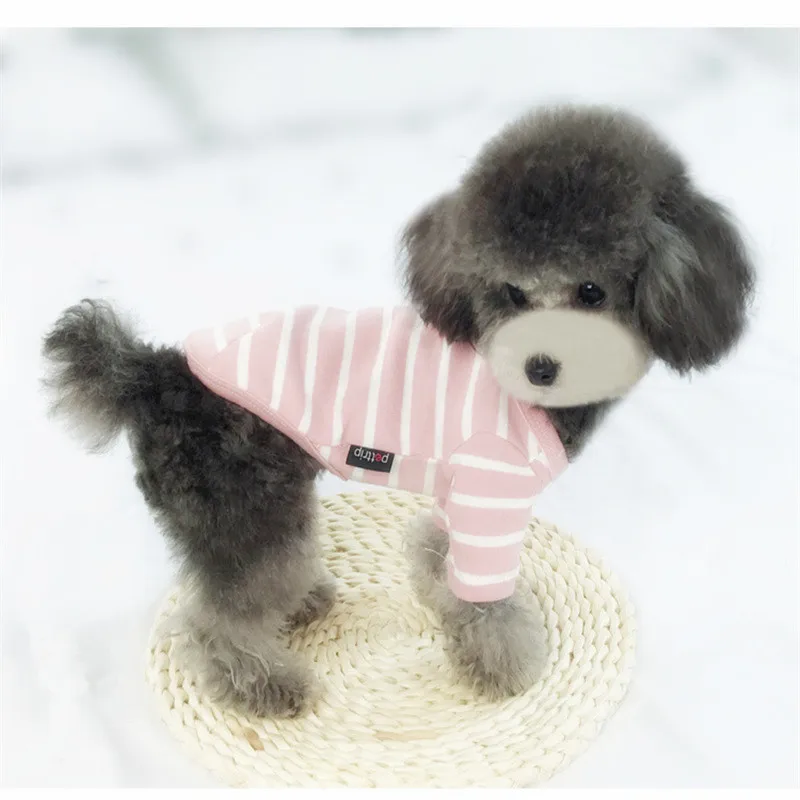 Ropa para perros, camiseta de verano a rayas, sección delgada para mayor comodidad, oso de peluche, ropa para perros pequeños, elegante y Linda - imagen 3