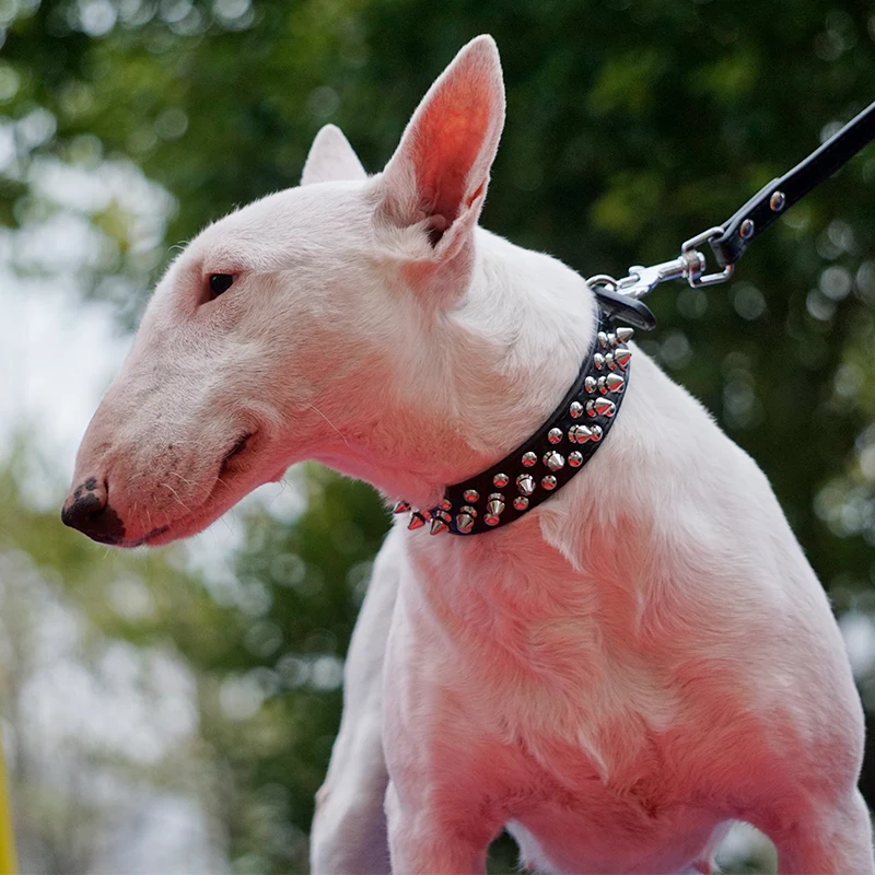 TB2pu2cGNSYBuNjSspjXXX73VXa_!!2693915148