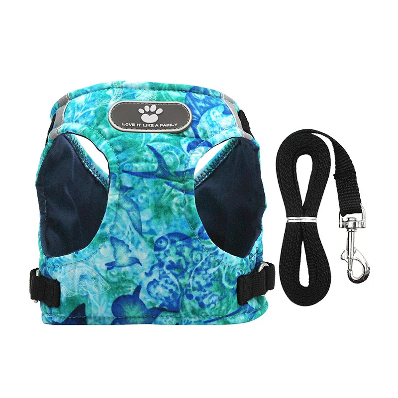 11114653458_609020808