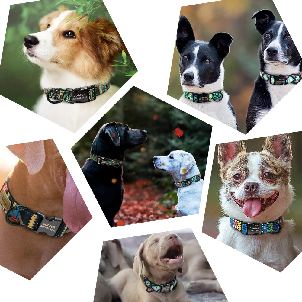Collar personalizado para perro, accesorio para mascotas pequeñas, medianas y grandes, Pitbull - imagen 5
