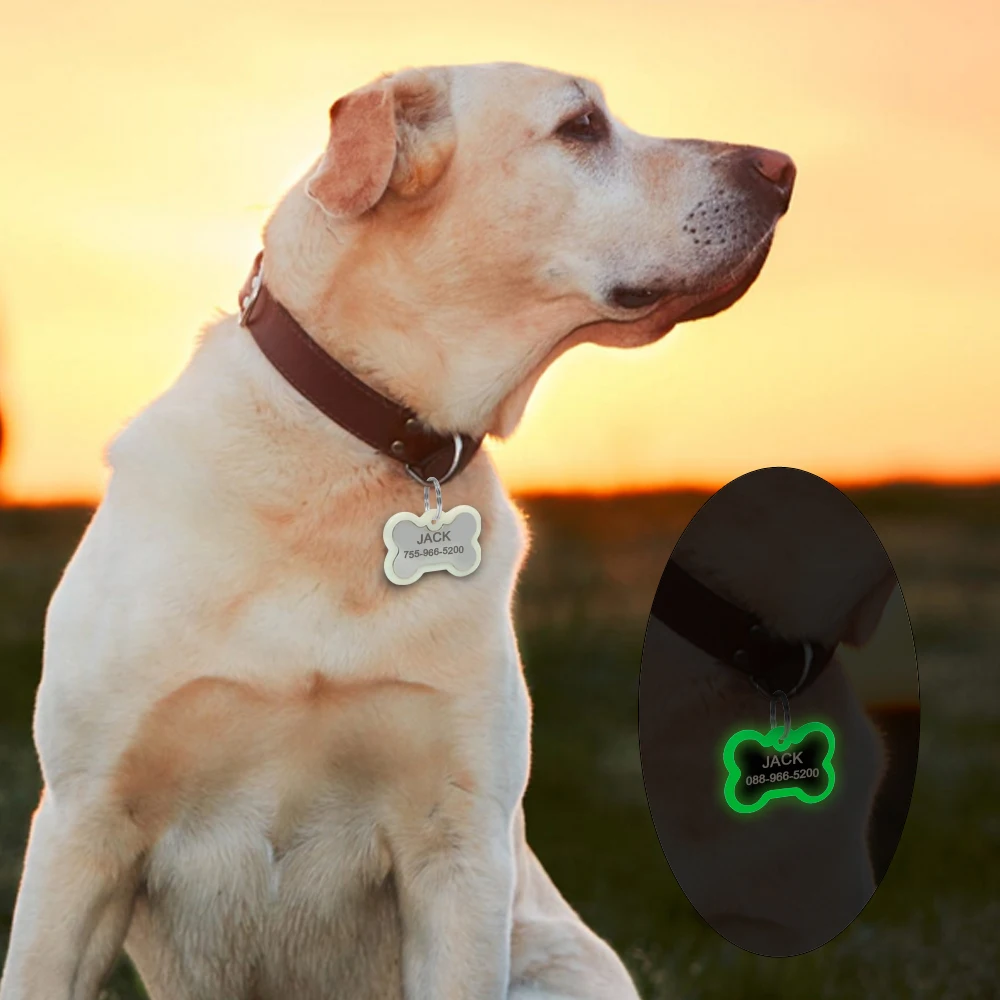 Etiqueta de identificación de perro, etiquetas de Metal grabadas personalizadas para mascotas, accesorios para perros pequeños y grandes, placa de etiqueta con nombre de pata de hueso personalizada, decoración de Collar - imagen 5