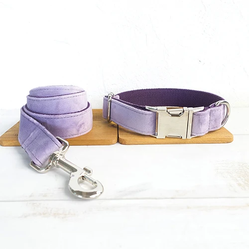 Dog Collar Leash Set