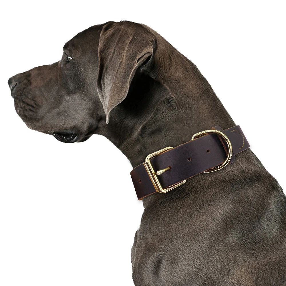 Collar de piel auténtica para mascotas, accesorio para perros pequeños, medianos y grandes, Pastor Alemán, XS-XXL - imagen 5