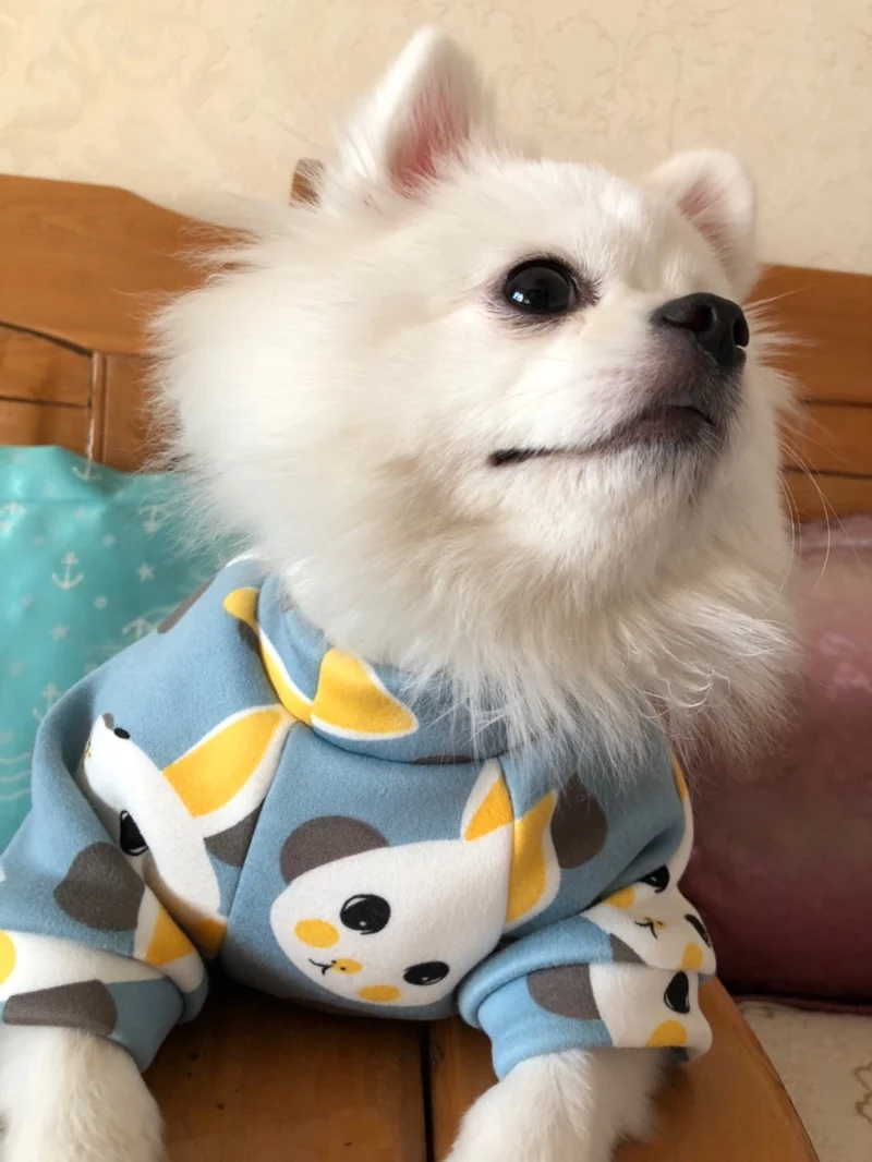 Guía de tallas - Medición correcta