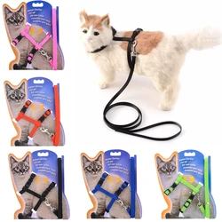 Arnés y correa para gato Kedi – Nylon ajustable y resistente