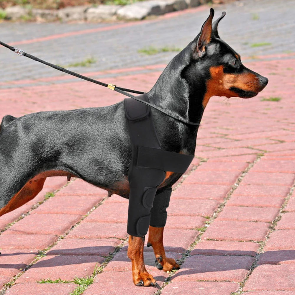 Rodillera para perro, soporte quirúrgico para lesiones, envoltura articular, cura heridas caninas, artritis frontal, previene perros, suministros médicos