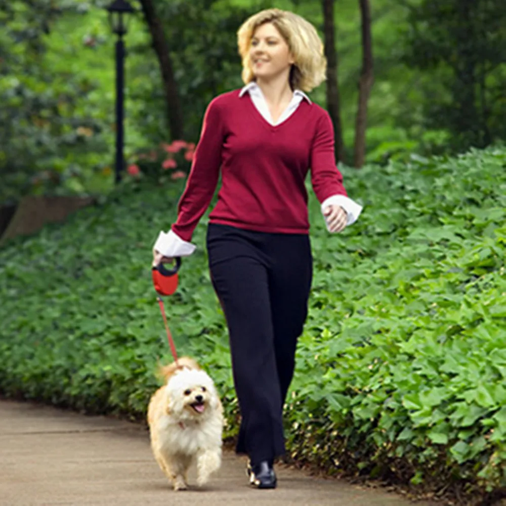 Correa automática de plástico para perro, arnés de tracción de 3 metros, para gato, Chihuahua, Bulldog - imagen 2
