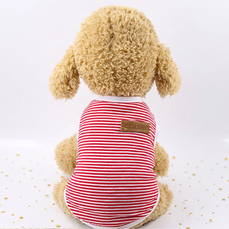 Gato pequeño con chaleco a rayas XLeiPet