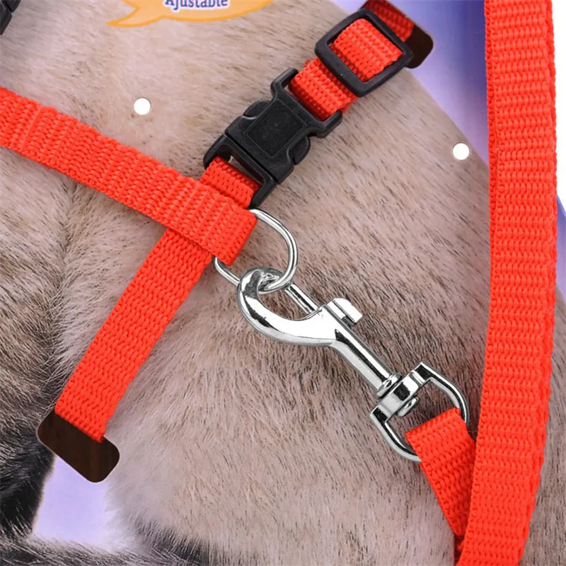 Collar ajustable para gatos, 5 colores, acogedor, nailon, conejo, gatito, arnés Kedi, conjunto de correa, accesorios para perros y gatos, productos para mascotas - imagen 3