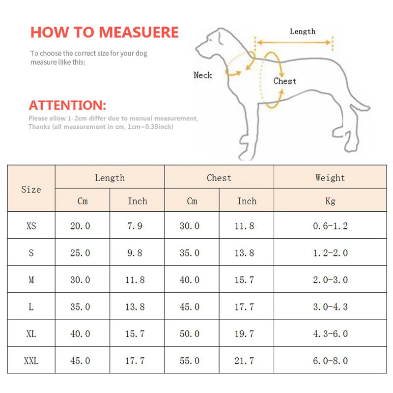 Gato descansando con chaleco a rayas puesto